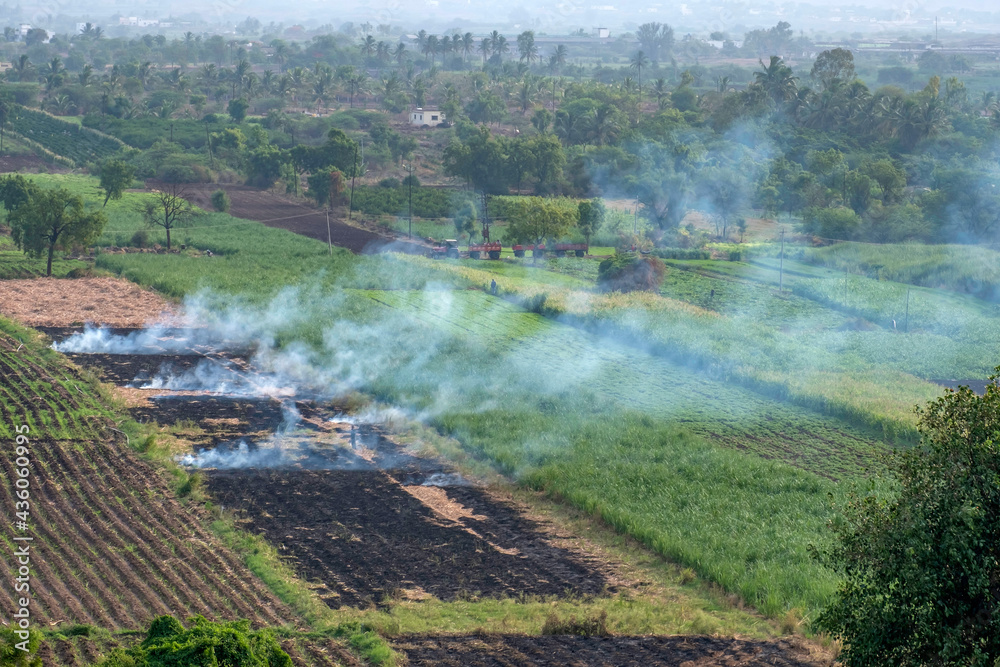 Stubble burning in an open agricultural field at Uruli near Pune India.