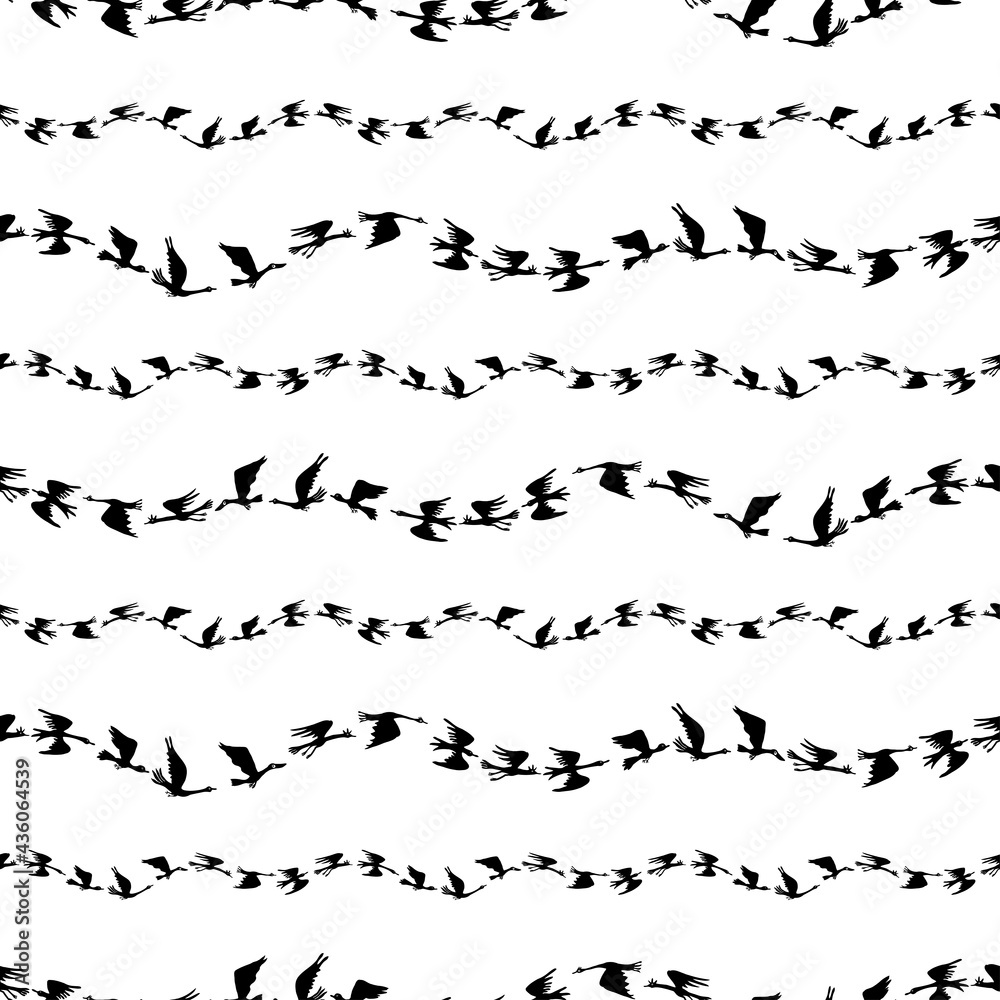 Obraz premium Seamless pattern of silhouettes flocks flying geese in rows