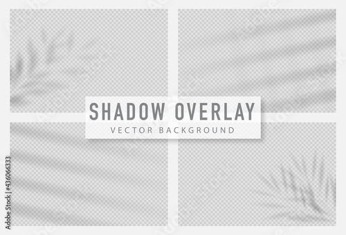 Shadow overlay effect. Transparent shadow of window. Vector illustration.
