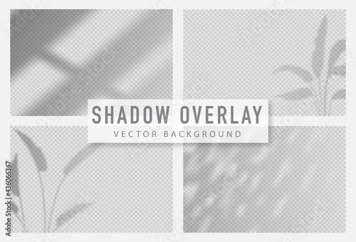 Shadow overlay effect. Transparent shadow of window. Vector illustration.
