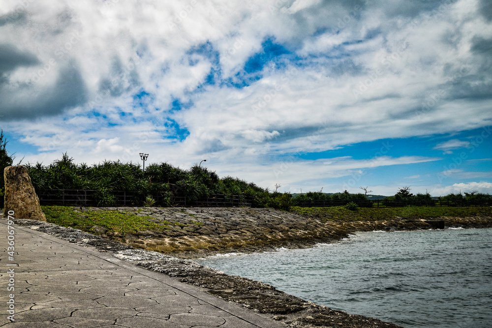 Fototapeta premium 沖縄の海と空と植物