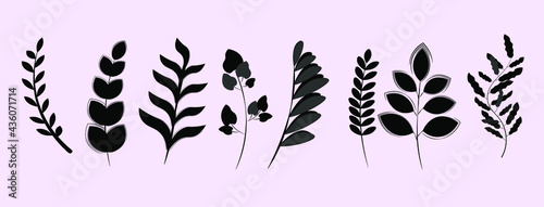 silhouettes of  plants. Seamless pattern with wild herbs and grasses.
Floral background designs. leaves and herbs vector illustration.