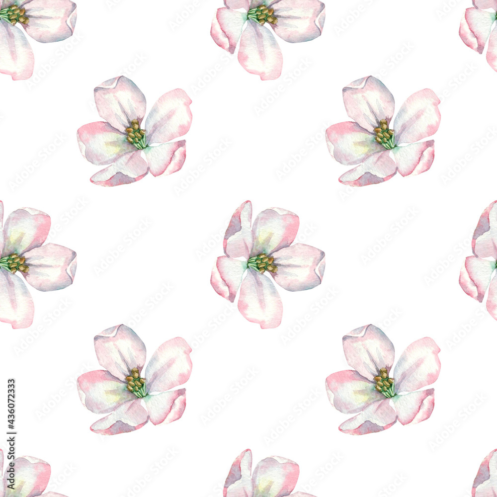 Floral seamless pattern for printing. Blooming apple tree.