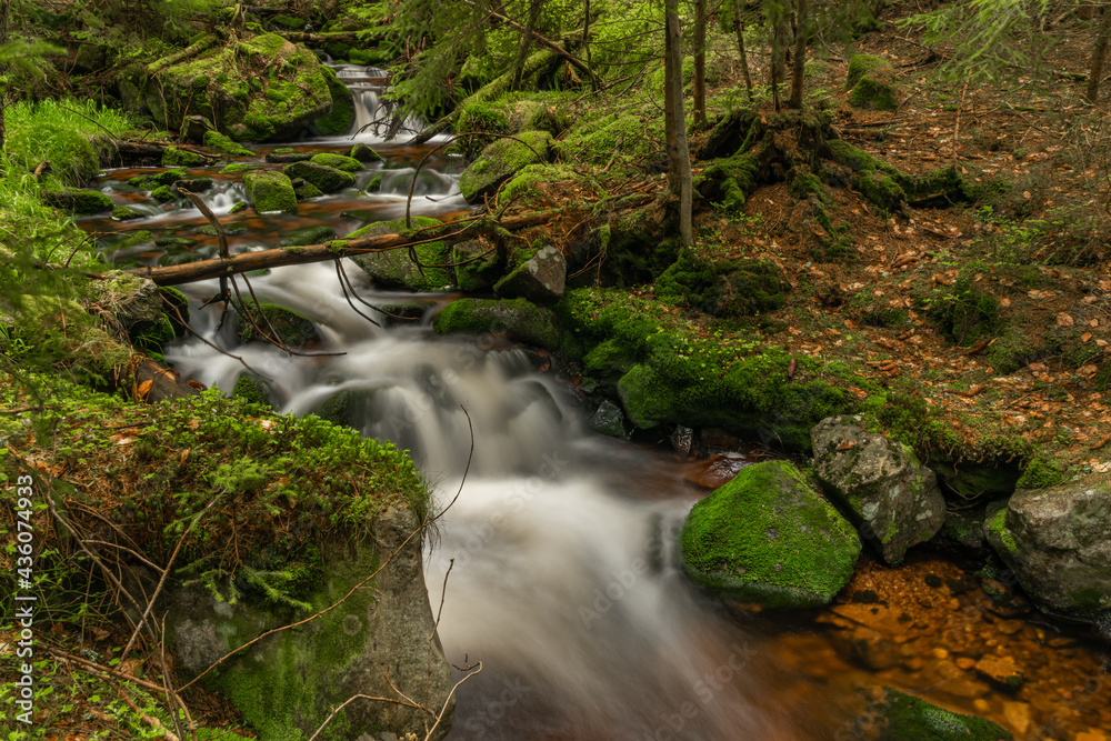 Skrivan color creek in Krusne mountains in spring morning after rain Skrivan color creek in Krusne mountains in spring morning after rain