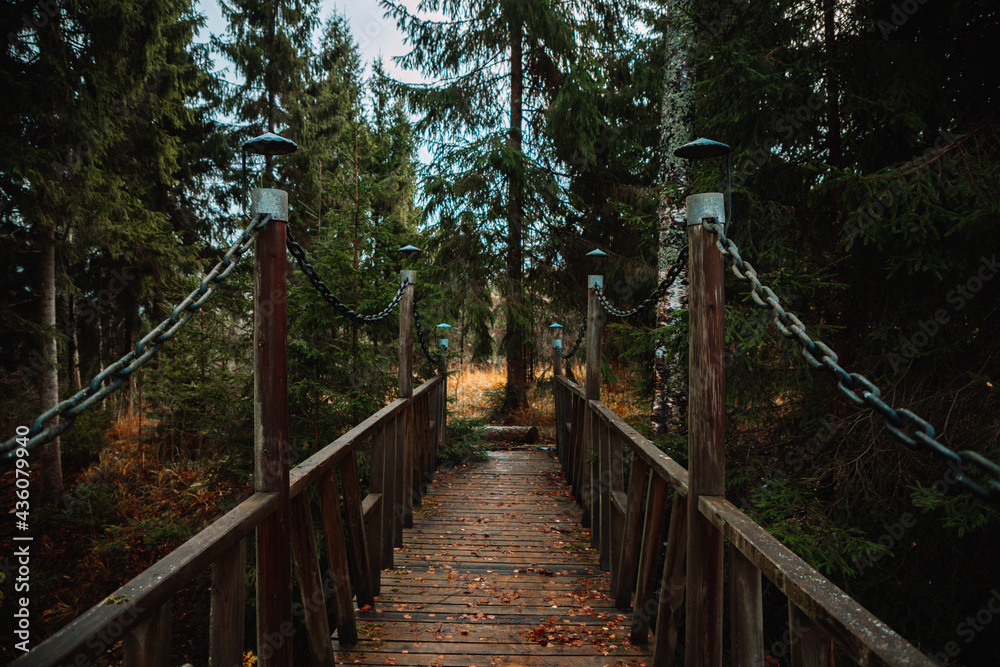 old wooden bridge with chains in a forest with fallen leaves of autumn