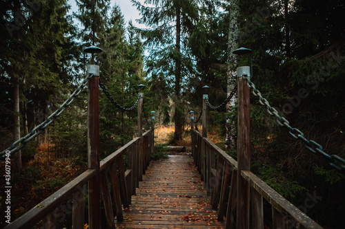 old wooden bridge with chains in a forest with fallen leaves of autumn