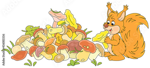 Little red squirrel mushroomer with a big pile of picked mushrooms on a summer forest glade, vector cartoon illustration isolated on a white background