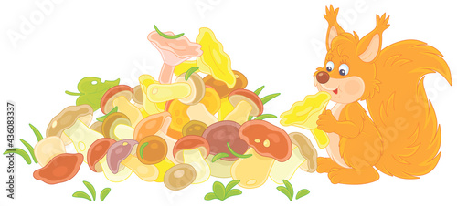 Little red squirrel mushroomer with a big pile of picked mushrooms on a summer forest glade, vector cartoon illustration isolated on a white background