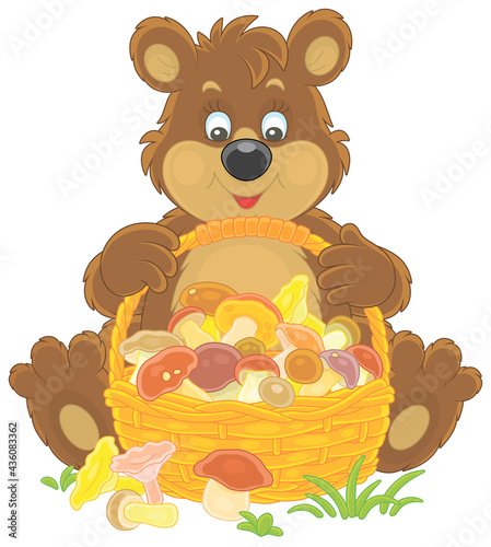 Little brown bear mushroomer friendly smiling and sitting with a big wicker basket full of picked mushrooms on a forest glade, vector cartoon illustration isolated on a white background