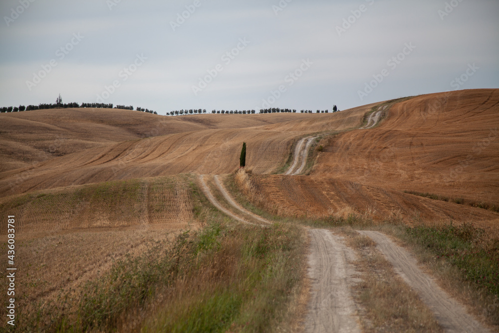 Tuscany Italy. landscape. Tuscany hills. driving on the road