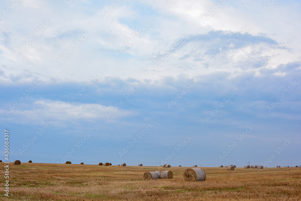 Landscape - Round haystacks in a spring field under the sky