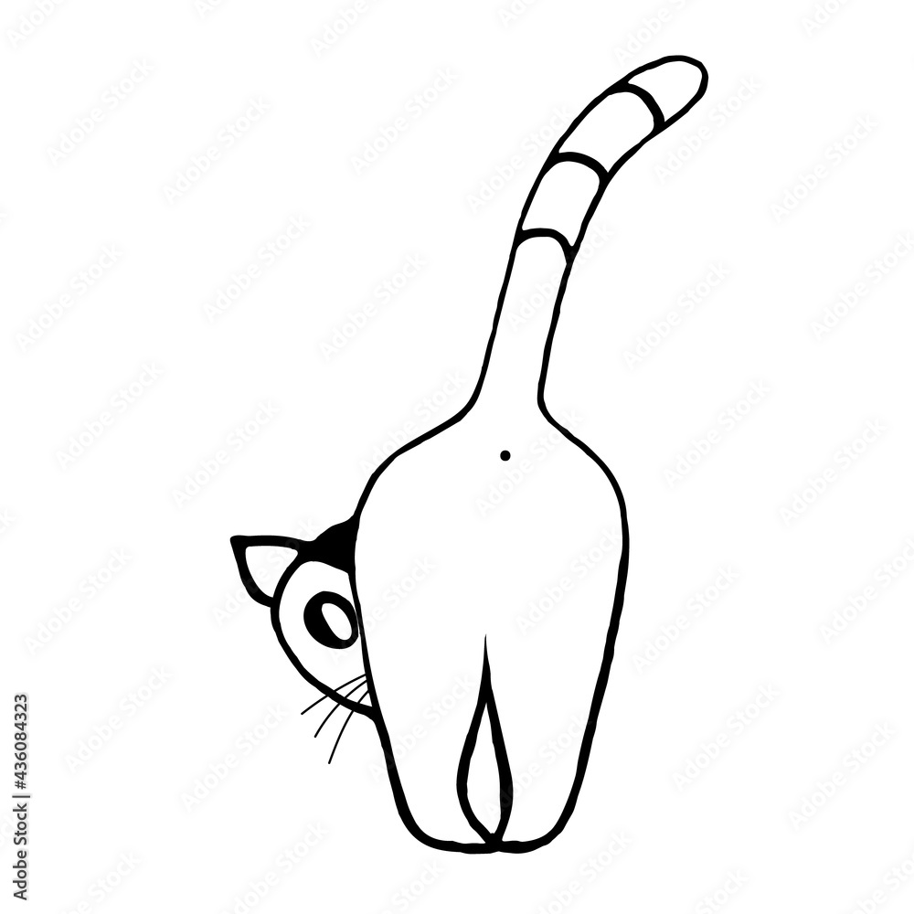 Doodle cat peeping out, rear view on white background.Vector illustration. Doodle cat peeping out, rear view on white background.Vector illustration.