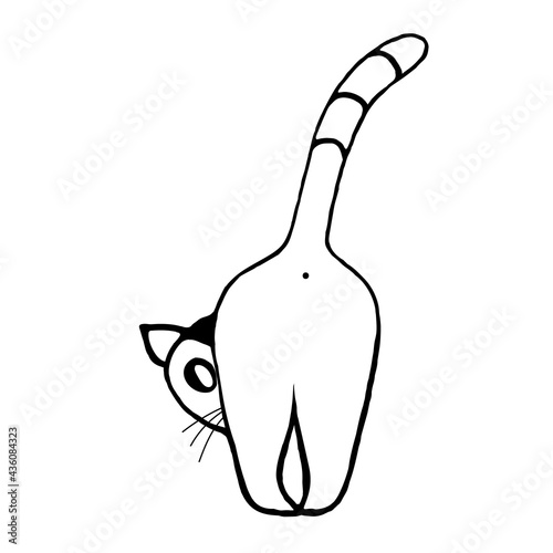 Doodle cat peeping out, rear view on white background.Vector illustration.