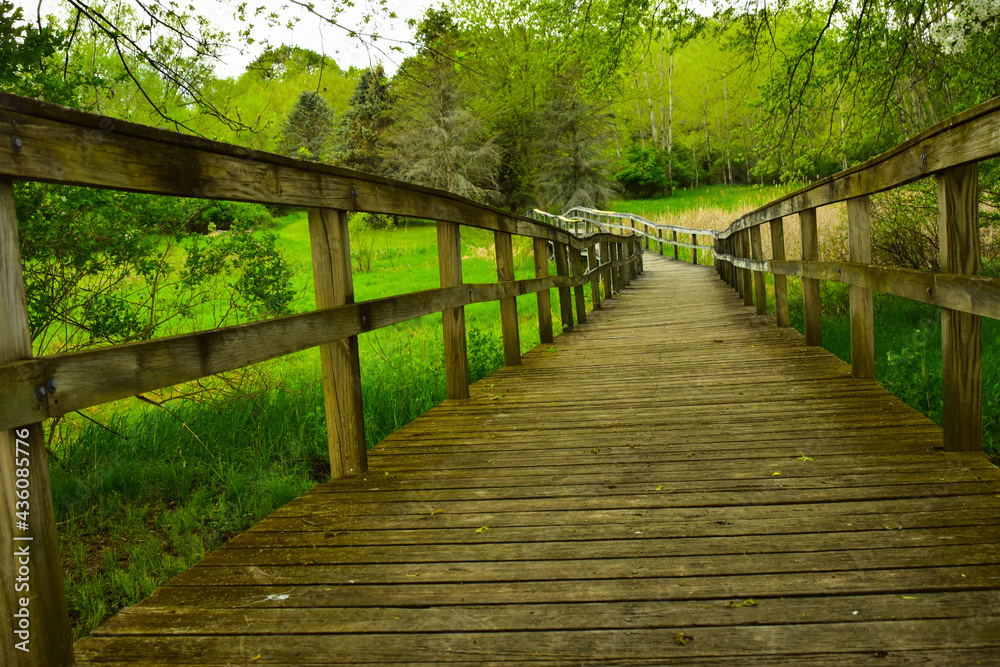 Obraz premium Wood walking bridge over wet marshy area in Michigan.