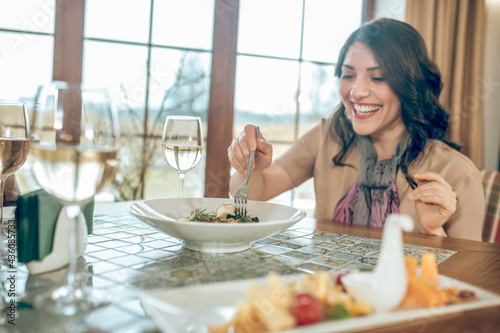 Dark-haired cute woman sitting at the table in a restaurant and looking happy © zinkevych