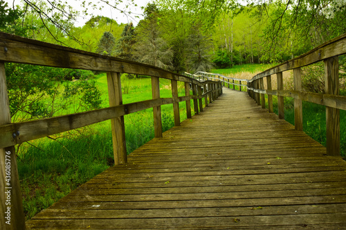 Wood walking bridge over wet marshy area in Michigan.