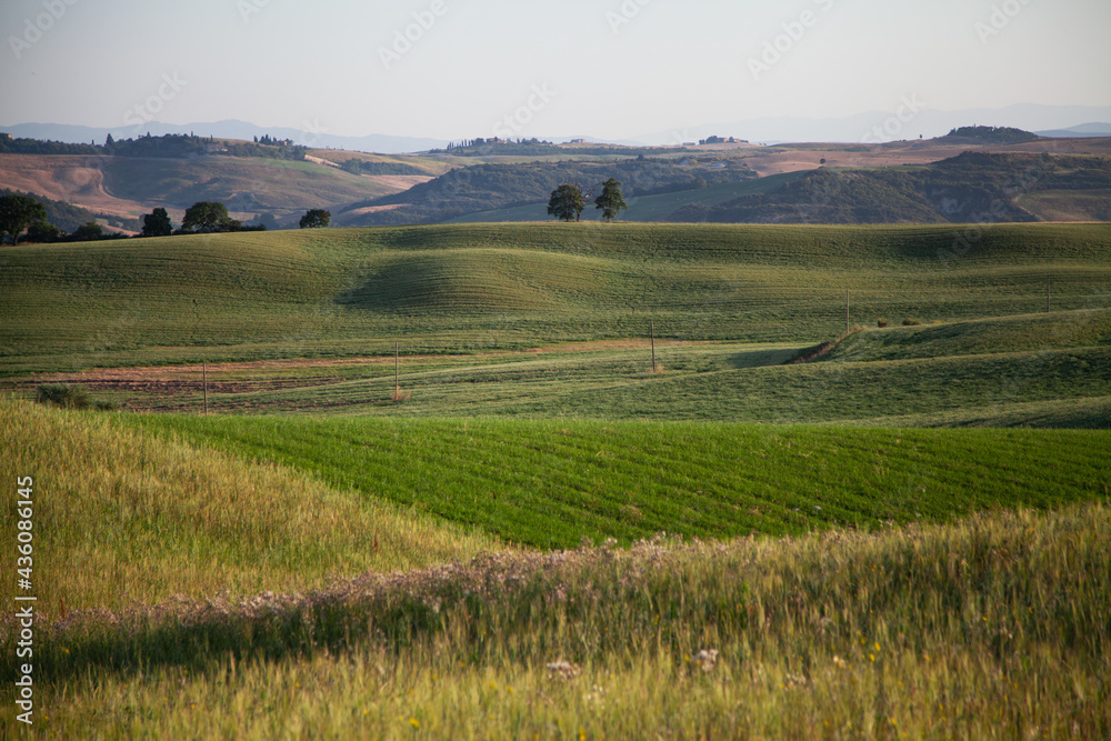 landscape of region, view of the countryside, Tuscany Italy. landscape. Tuscany hills