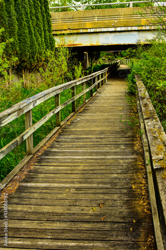 Fototapeta Naklejka Na Ścianę i Meble -  Wood walking bridge over wet marshy area in Michigan.