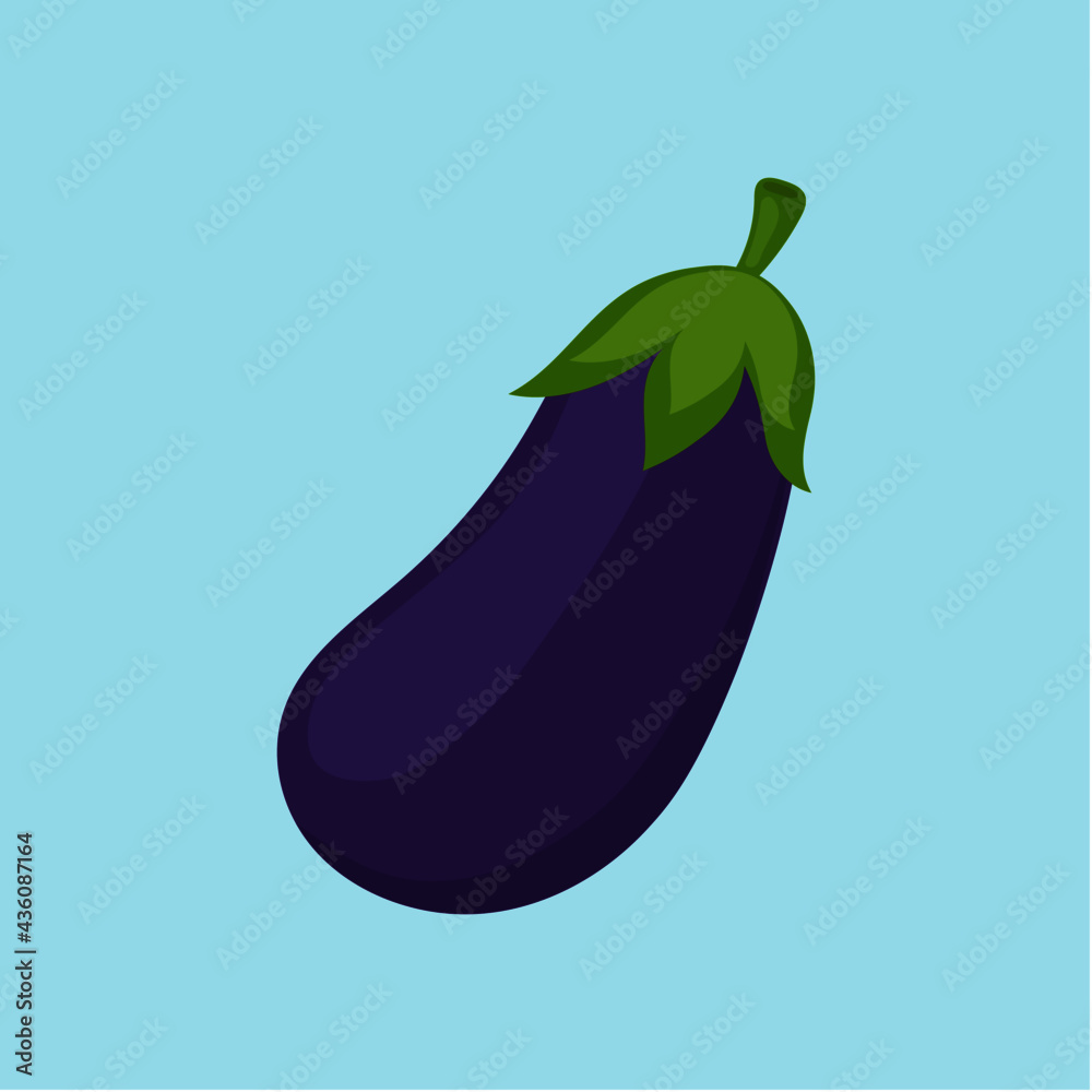 ripe purple eggplant with green leaves ripe purple eggplant with green leaves