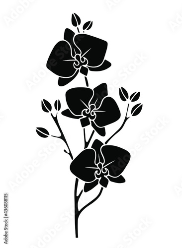 Black silhouette of orchid branches with flowers isolated on white background. Vector illustration.