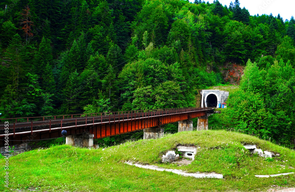 Railroad Tunnel . The railway tunnel in the mountain Railroad Tunnel . The railway tunnel in the mountain