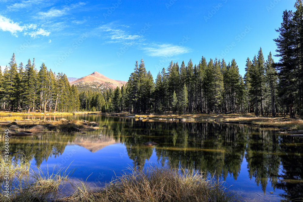 Fototapeta premium A beautiful scenery on Tioga Road, Yosemite National Park