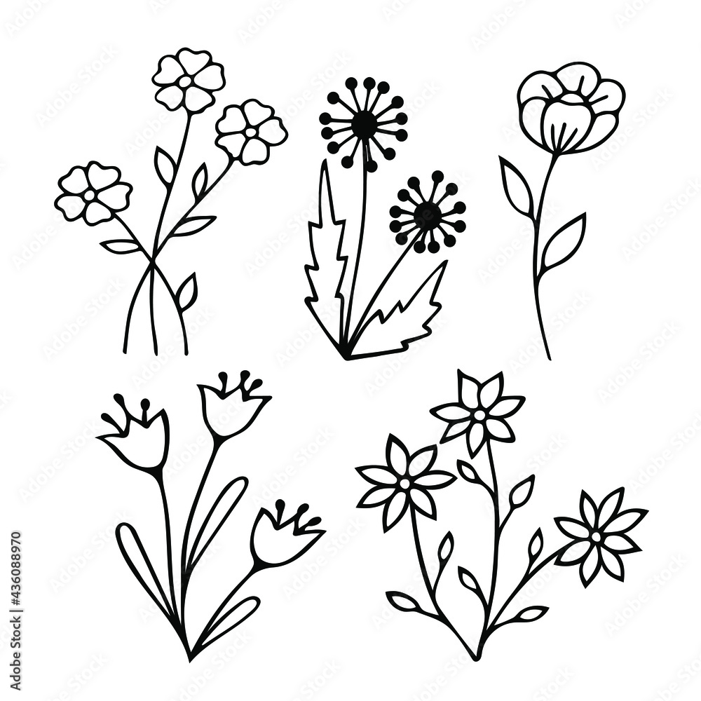 Wildflower line art set. Herbal and meadow plants, grass. Vector illustration isolated. Wildflower line art set. Herbal and meadow plants, grass. Vector illustration isolated.