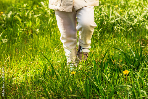 Walking in green grass with yellow dandelions, child wearing white trousers and brown canvas shoes steps. © Anna