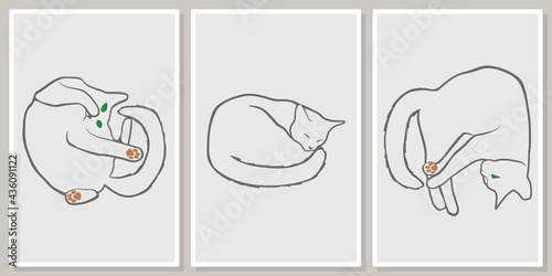 Sleeping cats -wall art vector set.  For wall art, poster, wallpaper, print.