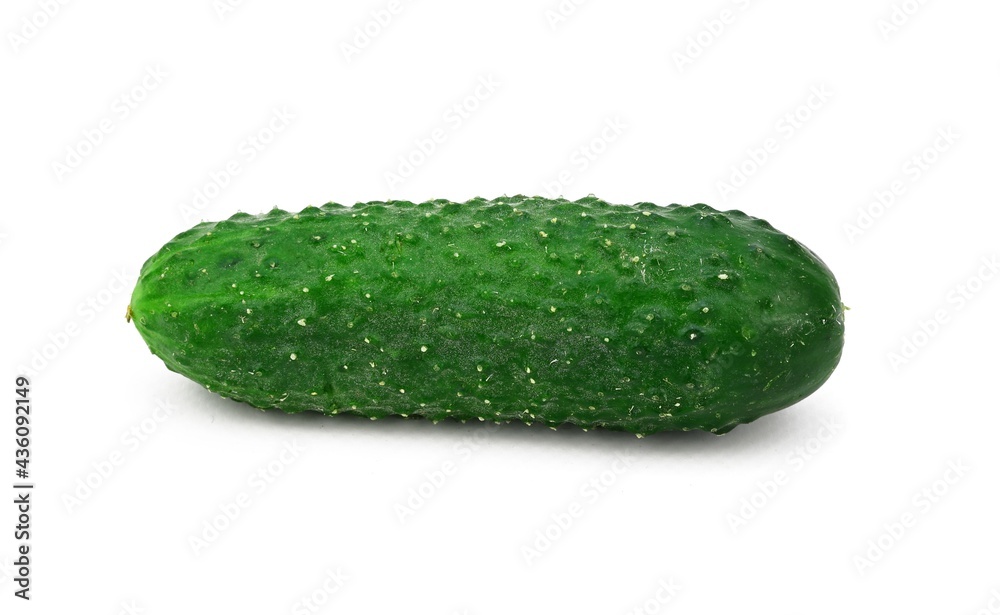 A fresh, ripe cucumber covered with well-defined tubercles A fresh, ripe cucumber covered with well-defined tubercles