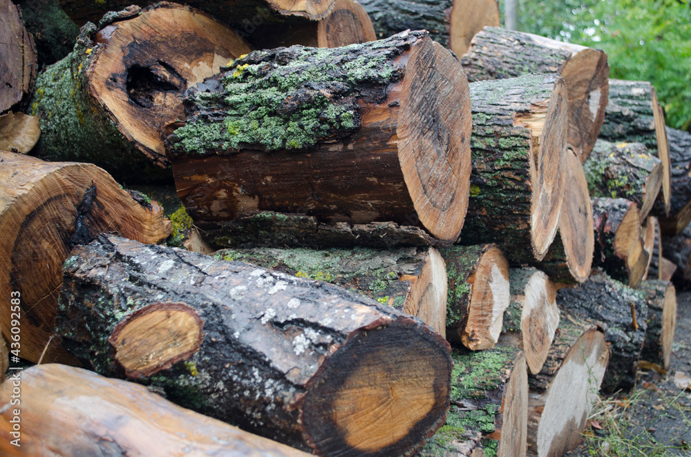Gas conflict, firewood, preparation for winter Gas conflict, firewood, preparation for winter