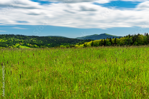 field and blue sky