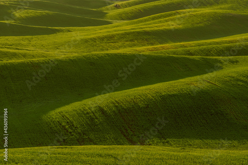 The green field © Artur