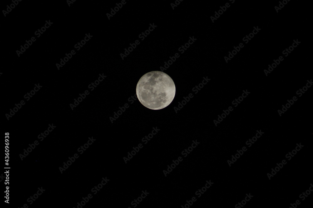 moon in the night moon in the night