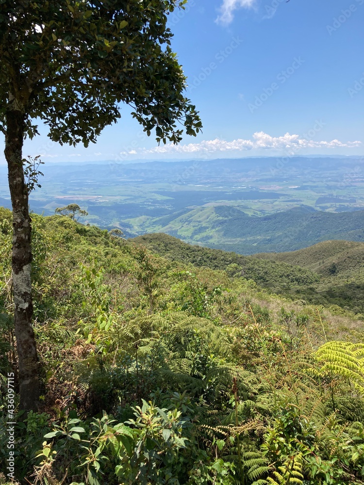 Obraz premium View on the nature