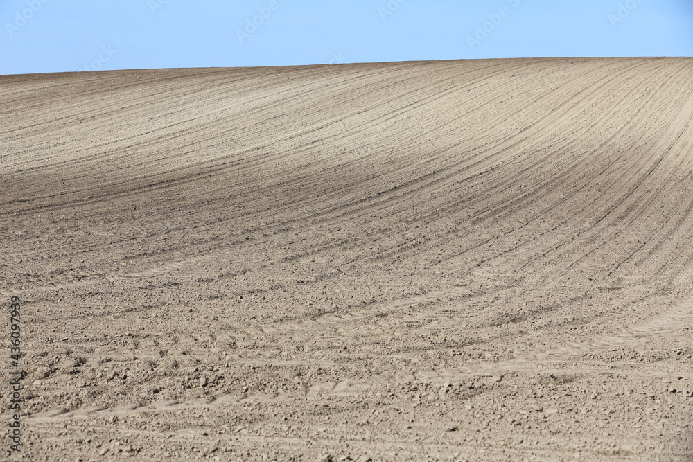 Landscape agricultural land in slope recently plowed for the crop Landscape agricultural land in slope recently plowed for the crop