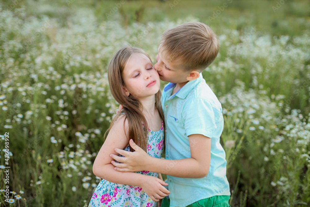 Fototapeta premium A blonde boy with a blonde girl in a chamomile field