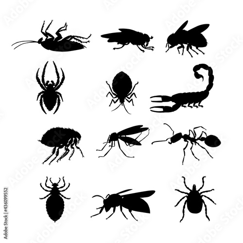 dangerous and poisonous insects, carriers of plague and other diseases and infections, bloodsuckers, set, vector illustration with black silhouettes isolated on a white background in a handdrawn style © Николай Шитов