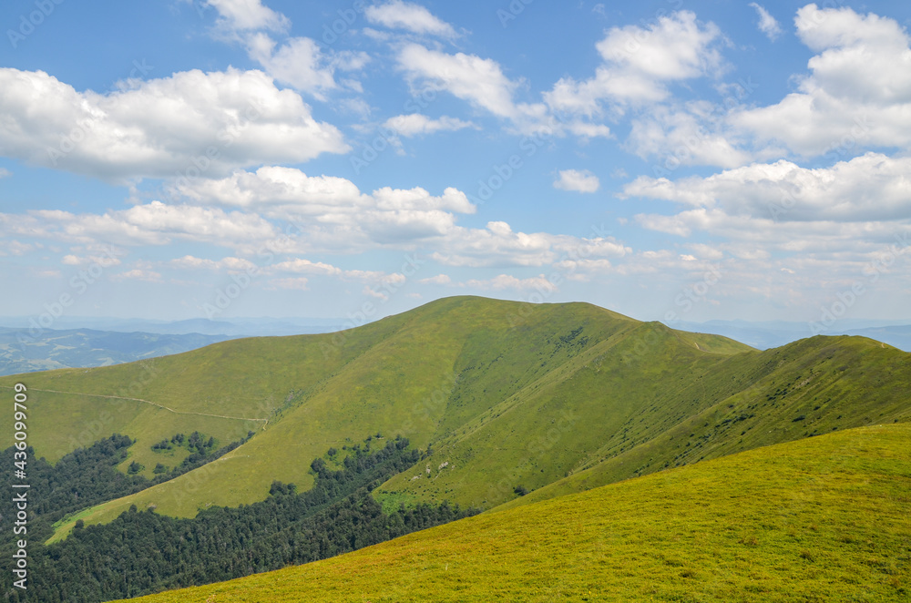Blue sky with fluffy clouds over the Borzhava mountain ridge with grassy hillside. Gorgeous nature of Carpathian Mountains