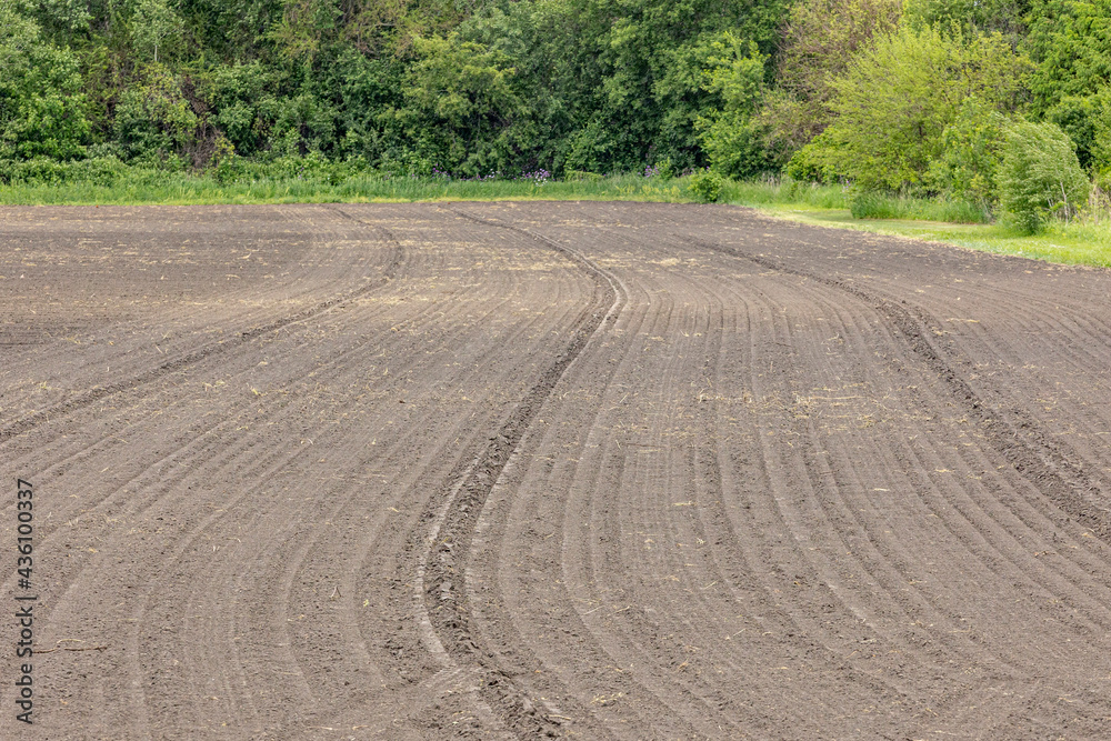 Fototapeta premium A farm field with no residue that has been rolled.