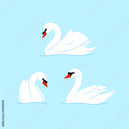 Fototapeta Naklejka Na Ścianę i Meble -  Cartoon swan. Flat illustration of bird. Childish print for nursery, kids apparel, poster, postcard, pattern.