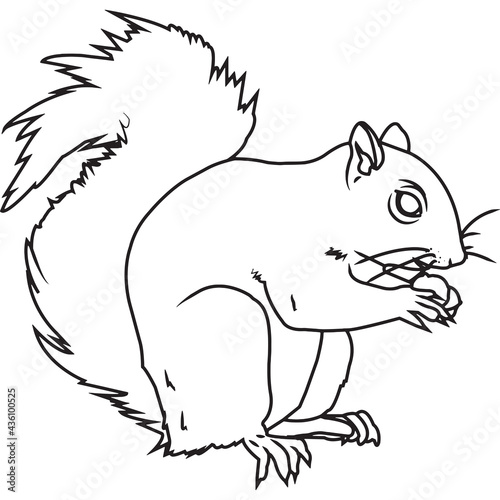 Hand Sketched, Hand Drawn Squirrel Vector
