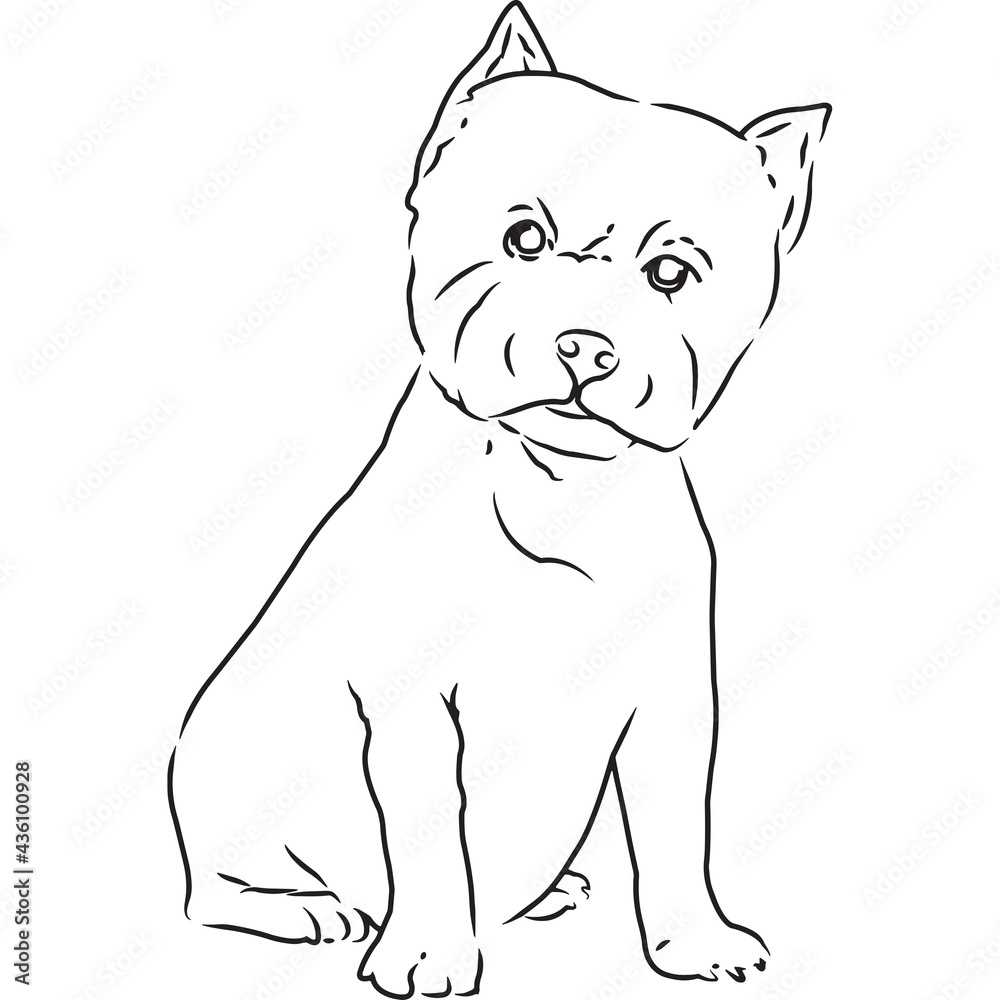 West Highland White Terrier Dog, Hand Sketched Vector Drawing West Highland White Terrier Dog, Hand Sketched Vector Drawing