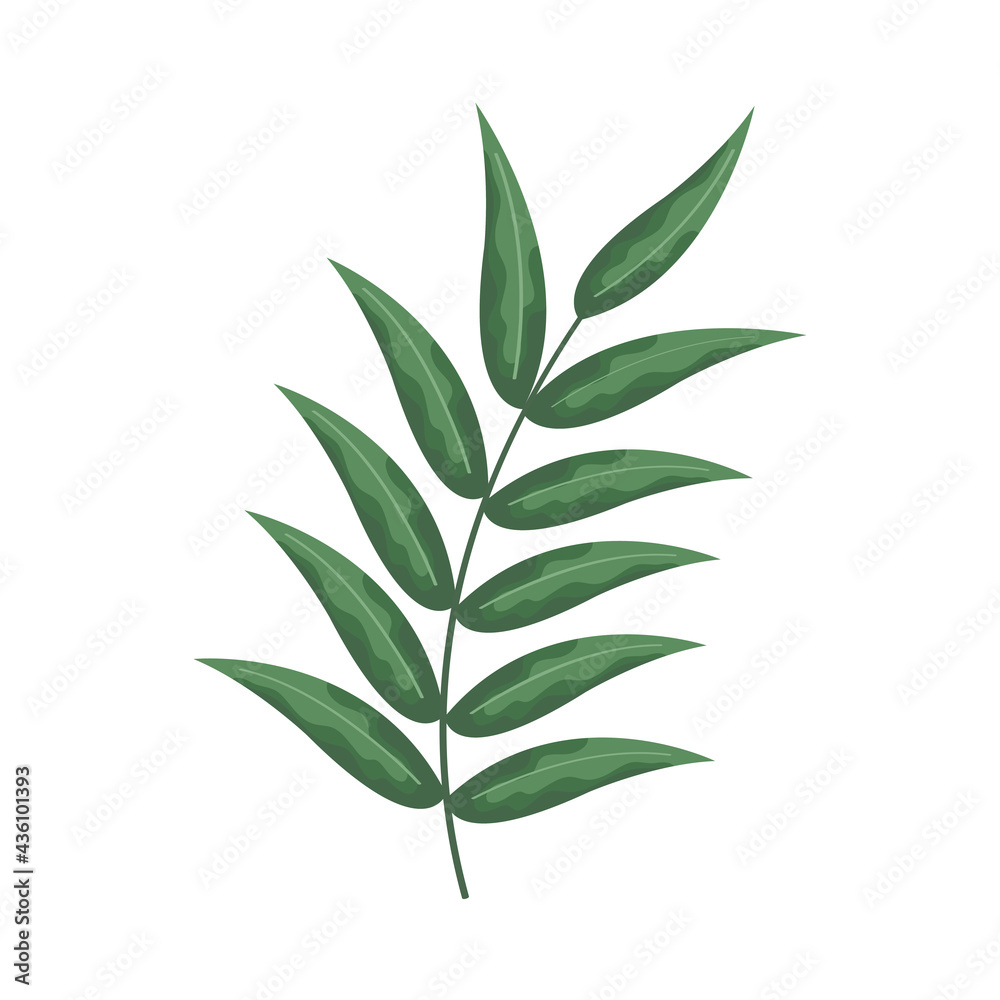 Fototapeta premium branch with big leaves