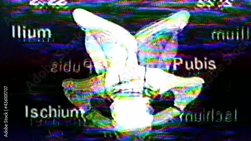Analog Video Art Multicolored Abstract Shapes Signal Distortion