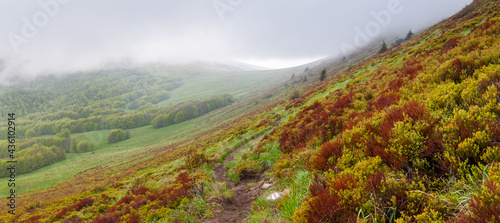 Fototapeta Naklejka Na Ścianę i Meble -  Rainy weather in Bieszady, hiking trail around the top of Tarnica, Bieszczady Mountains