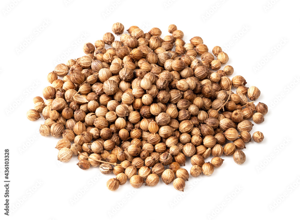pile of dried coriander seeds closeup on white pile of dried coriander seeds closeup on white