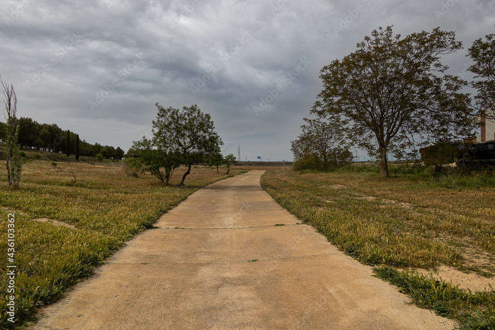 summer landscape with a sandy road in the fields on a cloudy day