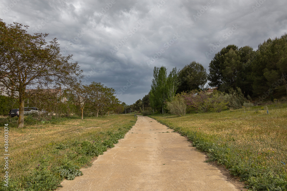 summer landscape with a sandy road in the fields on a cloudy day