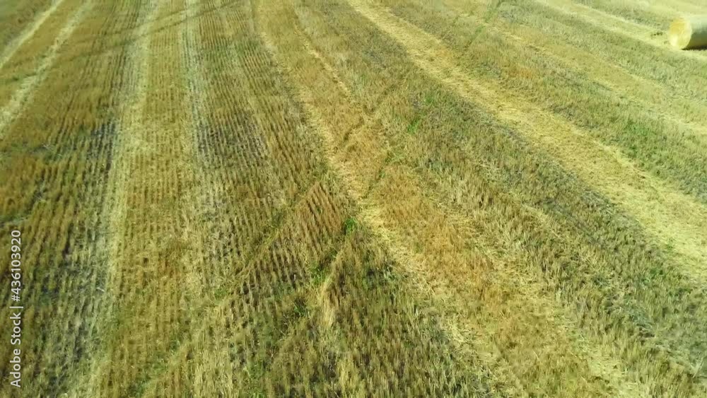 Harvest landscape: hay bales harvested farm fields Harvest landscape: hay bales harvested farm fields